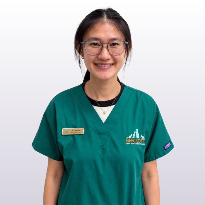 Dr Chew Xuan Yee